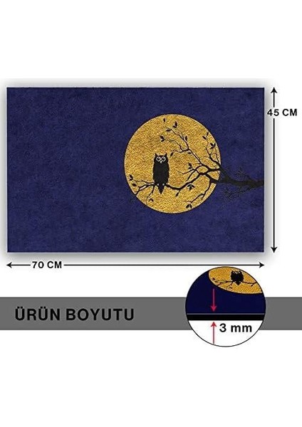 Tasarımlı Dekoratif Kapı Önü Paspas, Dış Mekan/ev Içi/banyo/mutfak/yatak Odası/giriş Paspasları (Baykuş Mavi, 45X70)