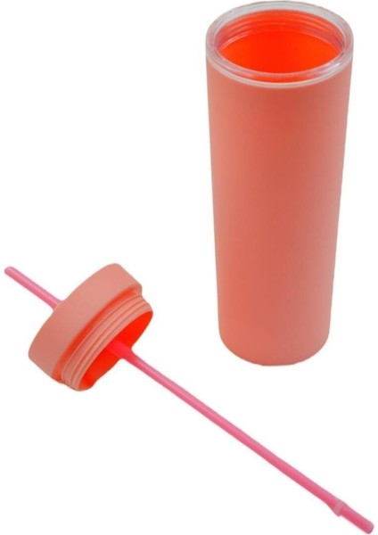 Çift Katmanlı Pipetli Sızdırmaz Kapak Bardak Matara 480 ml Pembe