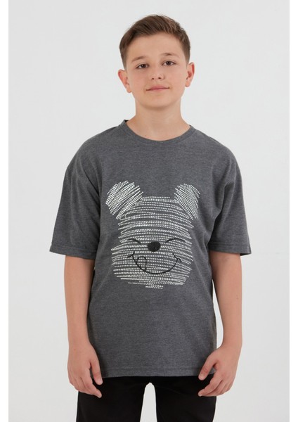 Ayıcık Baskılı Bisiklet Yaka Erkek Çocuk Tişört fiyatları