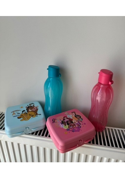 2 Adet 500 ml Suluk ve 2 Adet Sandviç Kutusu.