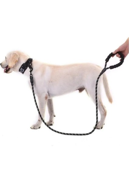 Köpekler Için Gezdirme Tasması Kayışı Reflektörlü 130 cm Kayış Orta ve Büyük Boy Köpekler indirimleri