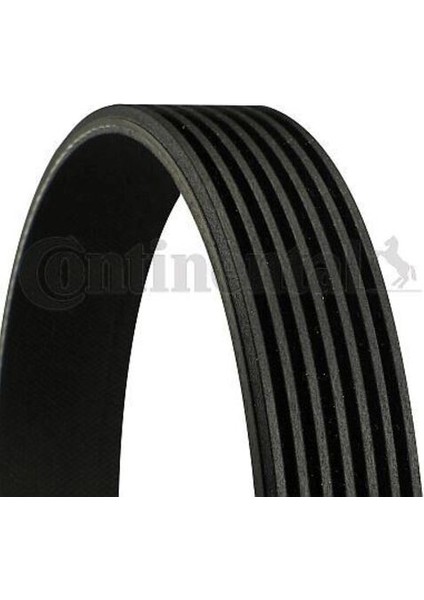 Contıtech 7PK1040 V Kayışı Micra Note Qashqai 1.6