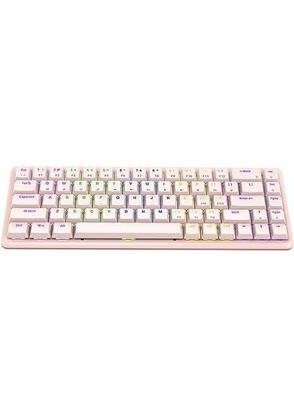 Rebel Pembe Low Profile Blue Swıtch Mekanik Gaming Oyuncu Klavye Us Layout Rainbow