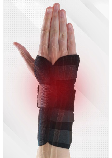 El Bilek Desteği, Standart Beden, Sağlam ve Rahat Kullanım modelleri