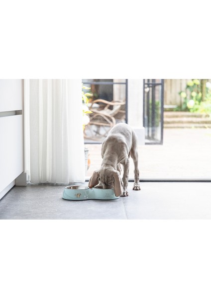 Köpek Ikili Mama ve Su Kabı, Paslanmaz Çelik, Turkuaz, 34X17,5CM, 2X350ML modelleri