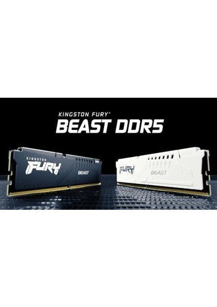 Fury Beast Ddr5 16GB 6000MT/S CL40 Dımm Masaüstü Oyun Belleği Tek Modül - KF560C40BB-16