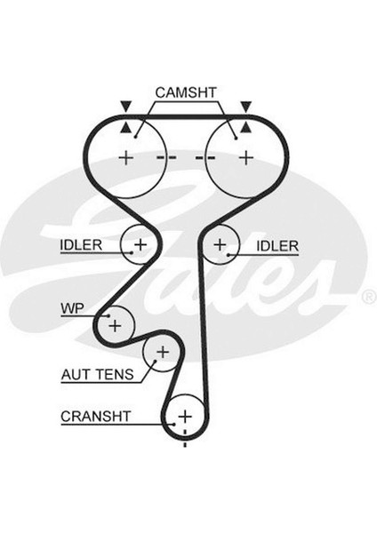 Triger Kayişi 169X240 169 Diş Astra F- Vectra B 96-02 1.8 I 16V-2.0 I 16V CT870 Dpmah