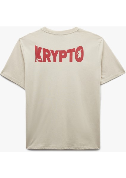 Kısa Kollu Pamuklu Regular Fit Bisiklet Yaka Arkası Baskılı Lisanslı Superman Tişört fiyatları