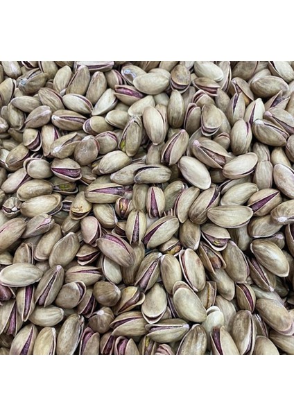 500 gr Üreticiden Tuzlu Antep Fıstığı Ana Çatlak Duble Boy Çifte Kavrulmuş 500 gr