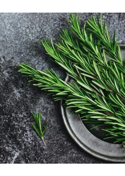 Nubeà Essentia Detoksifiye Edici Bakım Şampuanı 1000 ml fiyatları