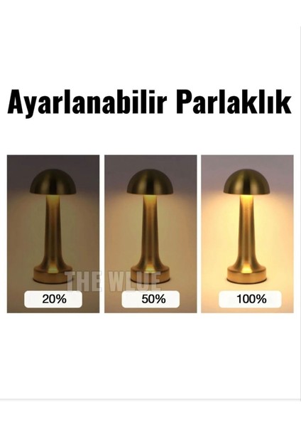 Mantar Masa Lambası Şarj Edilebilir 3 Farklı Renk ve Işık Gücü Ayarlanabilir Bakır Tonu modelleri