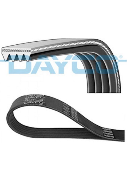 Triger Kayişi 116RP 254HT Scudo-Jumpy-C4 Picas-C5-Cmax-Focus III-MOND-SMAX-P308-P407-EXP 2.0hdi 10 Gnzrz