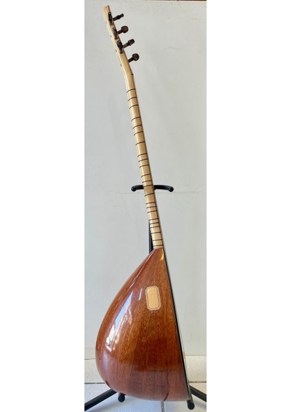 Profesyonel Uzun Sap Maun Bağlama