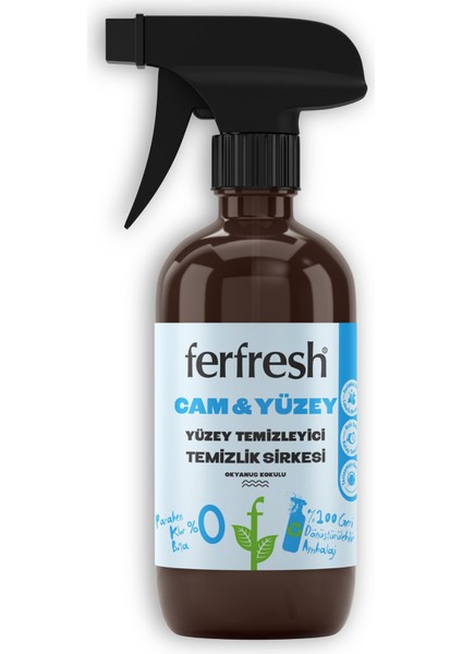 Cam & Yüzey Temizleyici Temizlik Sirkesi 450 ml