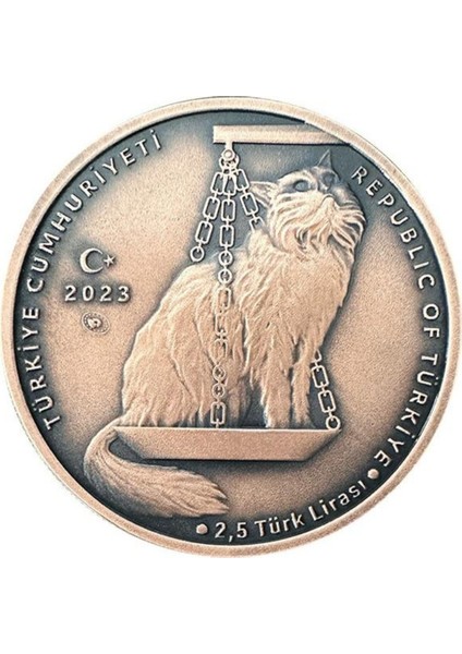 Agakulche Nasreddin Hoca Bronz Sikke Coin fiyatları
