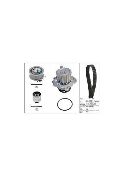 Eksantrik Kiti + Devirdaim (120 Diş) vw Polo / Caddy / Transporter-T5 / Golf-5 / Passat / Audı A3 / Seat Leon (Amf/avf/axb/bjb/bkc/bls/bn