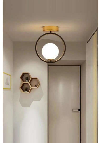Modern Tekli Plafonyer Avize