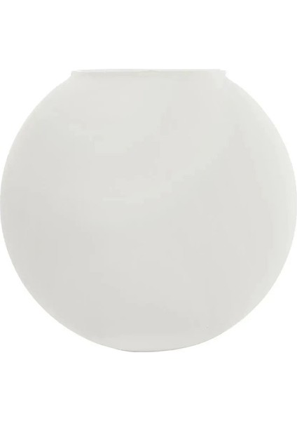 Globee Cam