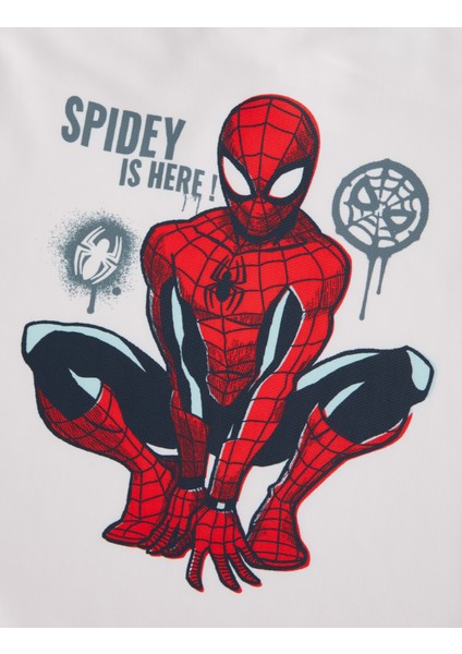 2'li Spider-Man™ Mayo Takımı (2-8 Yaş) modelleri