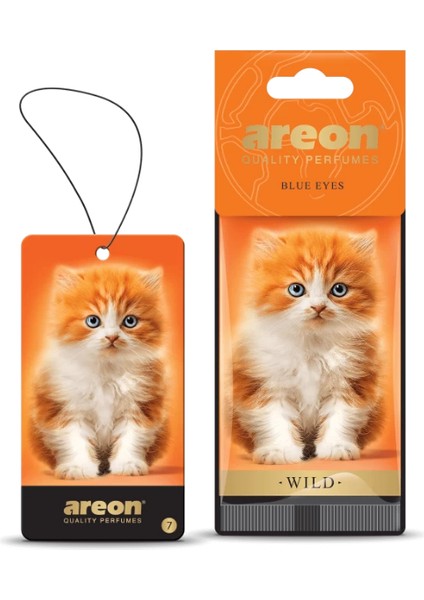 Wild Blue Eyes Oto Araç Kokusu