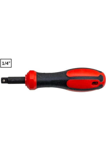 C01-20S 1/4" Lokma Tornavida 2.5 cm