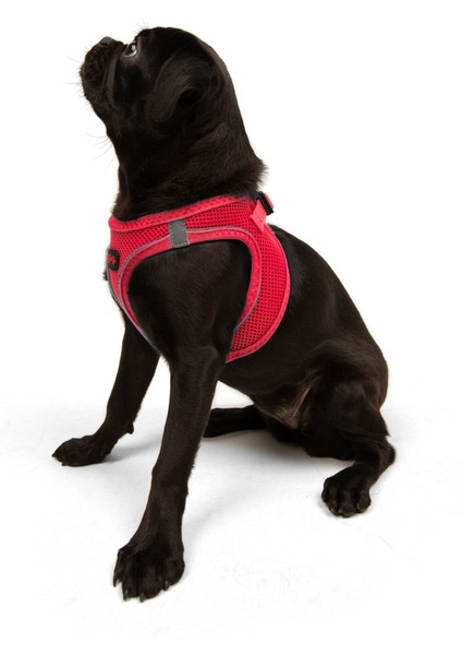 Air-mesh Harness Köpek Göğüs Tasması Parlak Kırmızı