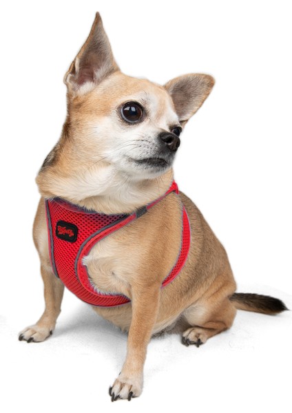 Air-mesh Harness Köpek Göğüs Tasması Parlak Kırmızı