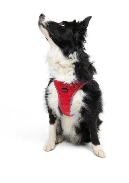 Air-mesh Harness Köpek Göğüs Tasması Parlak Kırmızı