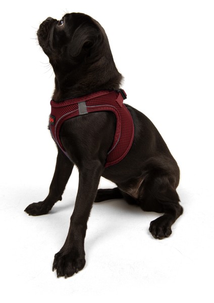 Air-mesh Harness Köpek Göğüs Tasması Bordo