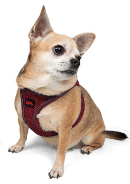 Air-mesh Harness Köpek Göğüs Tasması Bordo