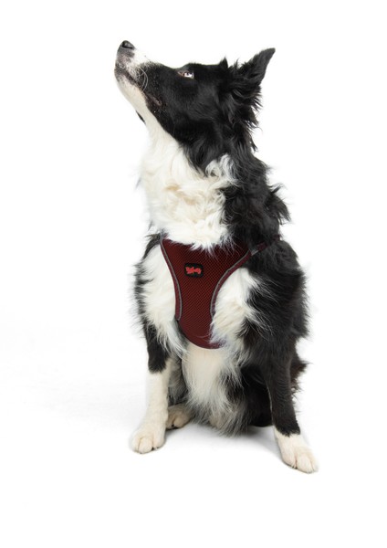 Air-mesh Harness Köpek Göğüs Tasması Bordo