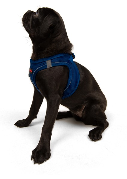 Air-mesh Harness Köpek Göğüs Tasması Lacivert