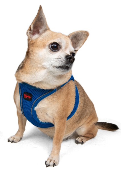 Air-mesh Harness Köpek Göğüs Tasması Lacivert
