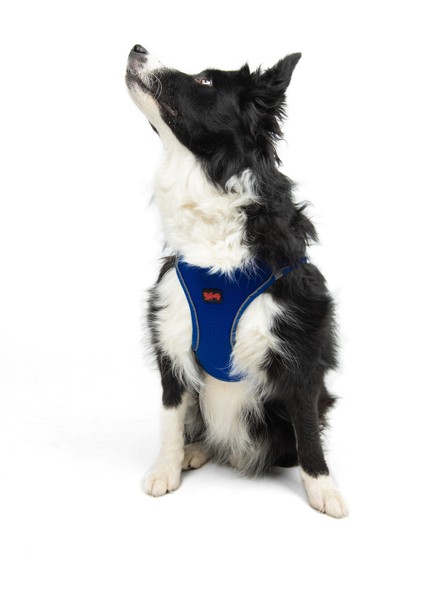 Air-mesh Harness Köpek Göğüs Tasması Lacivert