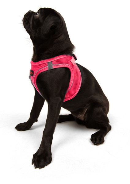 Air-mesh Harness Köpek Göğüs Tasması Neon Pembe