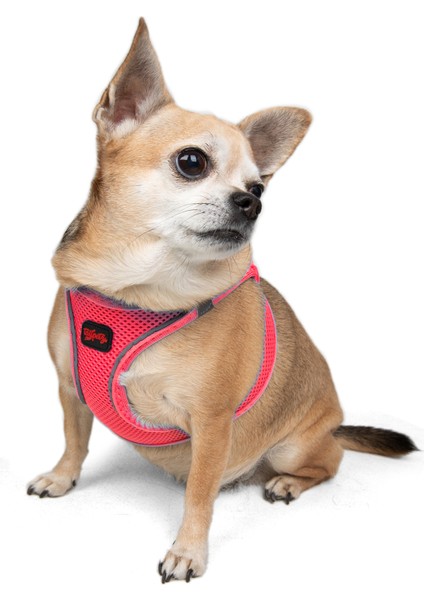 Air-mesh Harness Köpek Göğüs Tasması Neon Pembe