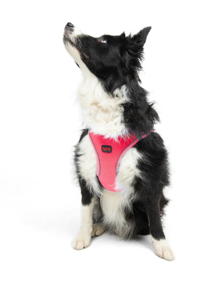 Air-mesh Harness Köpek Göğüs Tasması Neon Pembe