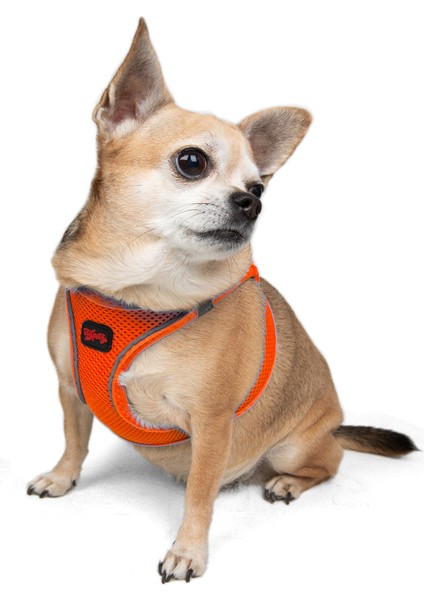Air-mesh Harness Köpek Göğüs Tasması Neon Turuncu