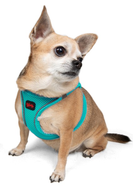 Air-mesh Harness Köpek Göğüs Tasması Turkuaz
