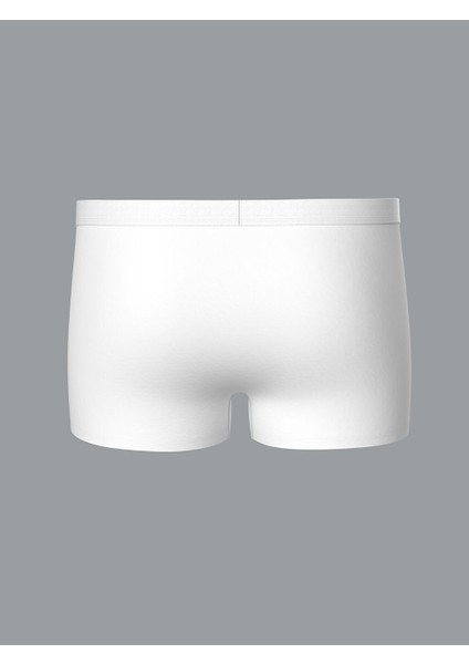 Yeni Sezon Standart Kalip Pamuklu Esnek Erkek Boxer 3'lu - S50120Z8