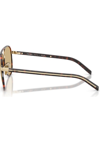 Pr B57S 21E10R Unisex Pilot Metal Asetat Güneş Gözlüğü Havana Kahverengi fırsatları