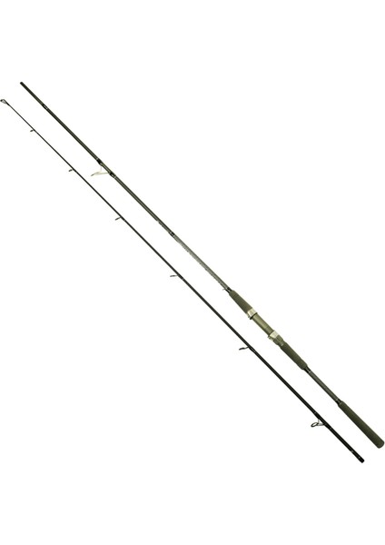 1465 Assai Spin 2 Parça Shore Jig Kamışı 290cm 30-125gr Atar