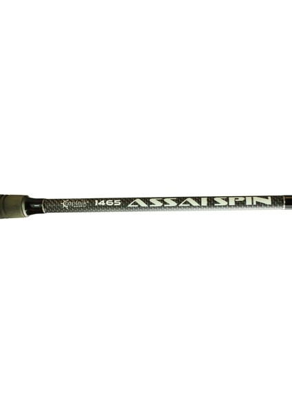 1465 Assai Spin 2 Parça Shore Jig Kamışı 290cm 30-125gr Atar