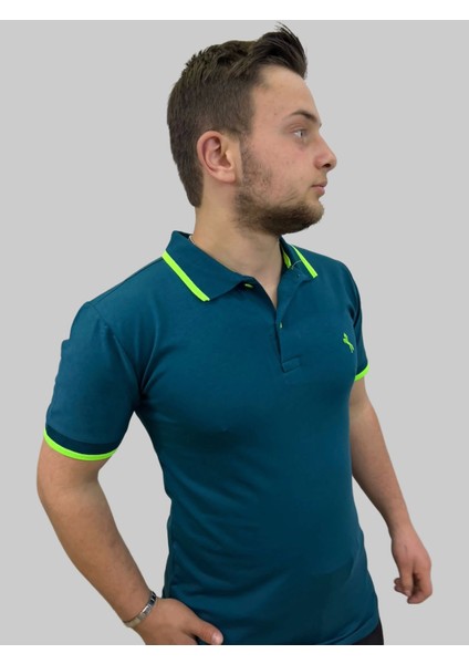 Erkek Horses Polo Yaka Compact Ligralı Petrol Yeşili Tişört fiyatları