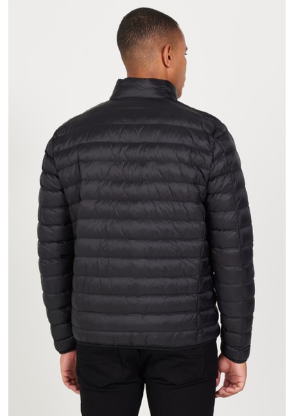 Standart Fit Normal Kesim Dik Yaka Mont indirimleri