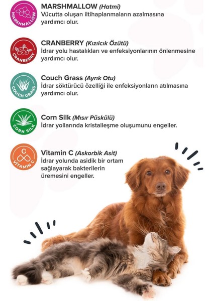 Premium Urinary+D Kediler ve Köpekler Için Üriner Sistemi Destekleyici Tablet fiyatları