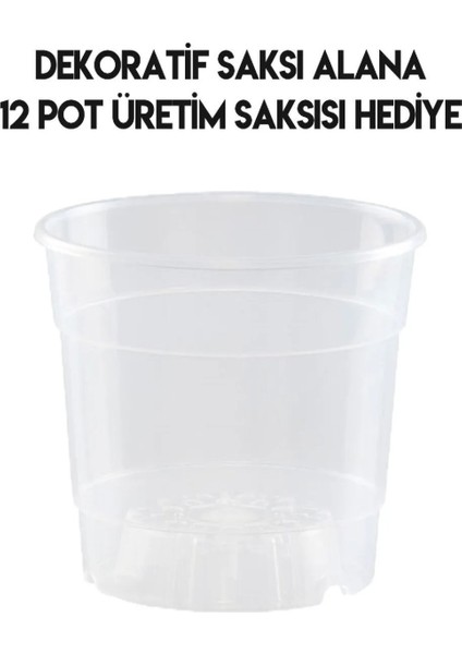 Beyaz Orkide Saksısı Dekoratif Dış Saksı 1 Adet- 12 Pot Şeffaf Orkide Üretim Saksısı Hediyeli indirimleri
