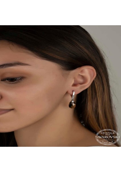 Swarovski Crystal Taşlı Gümüş Damla Sallantılı Kadın Küpe fiyatları