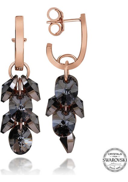 Swarovski Crystal Taşlı Gümüş Salkım Sallantılı Kadın Küpe