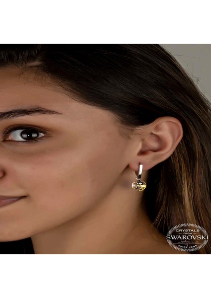 Swarovski Crystal Taşlı Gümüş Beyaz Kalp Sallantılı Kadın Küpe fiyatları